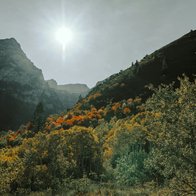 Cover Image for Life Science Hikers - Boston Edition - October Hike