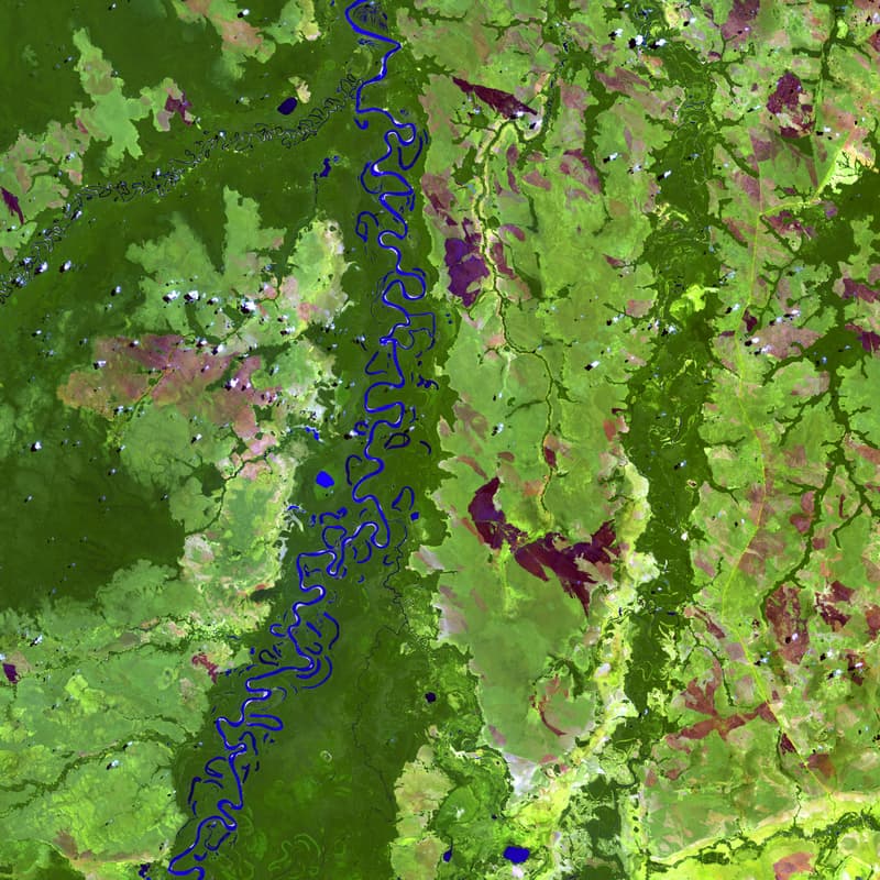 Cover Image for Building Strong Foundations for Climate-Smart and Resilient Food Systems: Geospatial Innovation, Cloud Technologies, AI & Collaboration