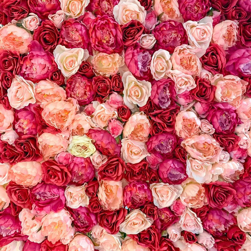 Cover Image for 🌸 Mother’s Day Rose Drop: Honoring Moms with Love 🌸