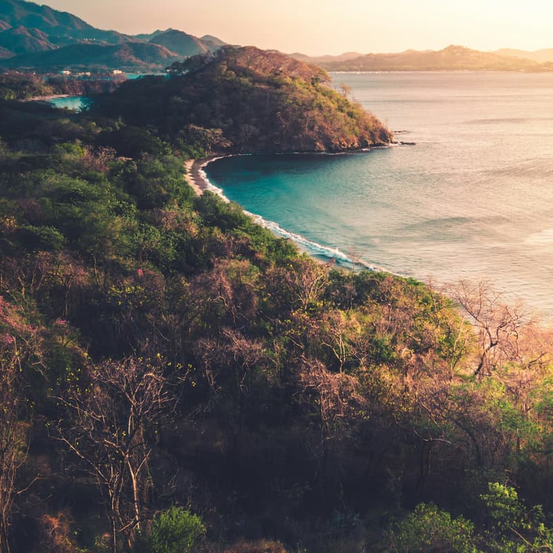 Cover Image for Winter Retreat: Santa Teresa, Costa Rica