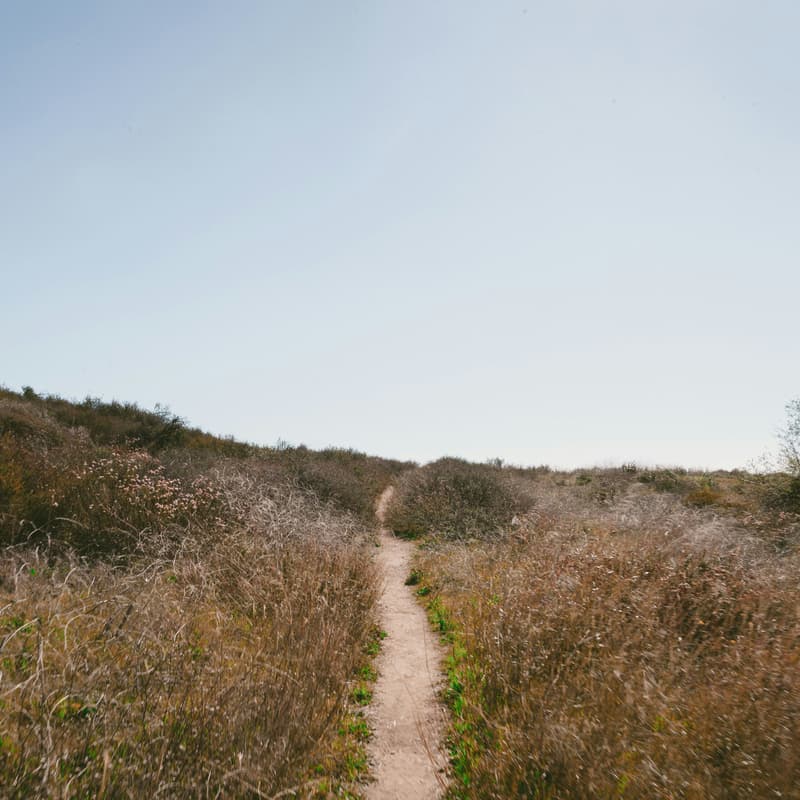 Cover Image for Biopharma Networking Hike - Palo Alto Baylands