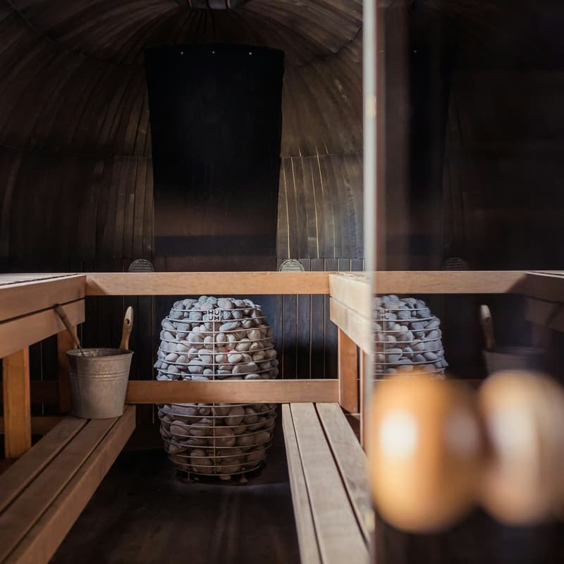 Cover Image for Restoration & Connection @ Alchemy Springs