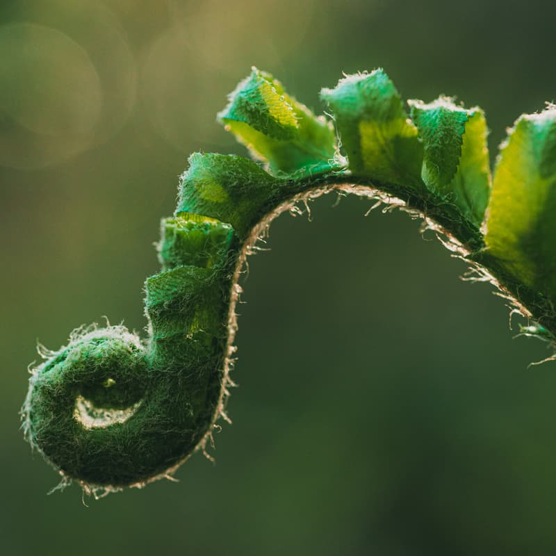 Cover Image for Introduction To Life Coaching