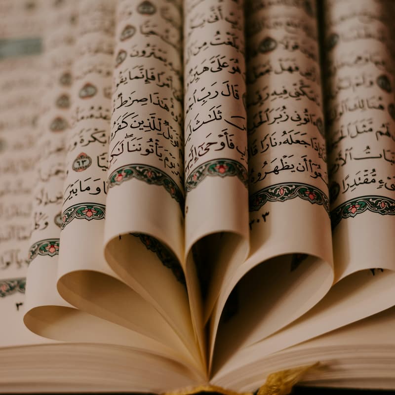 Cover Image for Sisters’ Halaqa w/ Imam Muzzammil