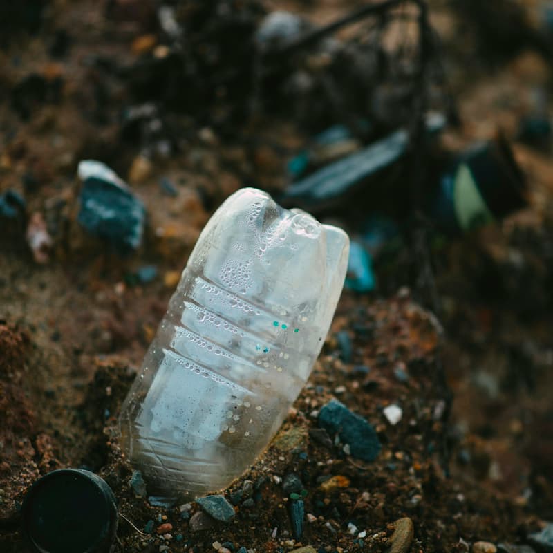 Cover Image for Super South Clean-up with The Chad Livsey Project