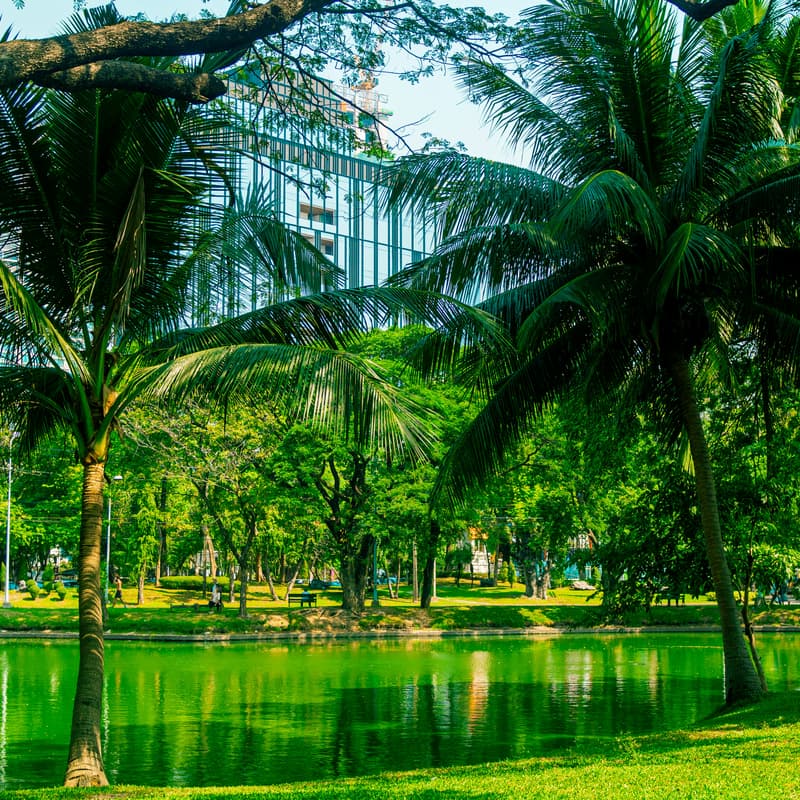 Cover Image for Elephants Run Club (TBW) - Lumphini Park