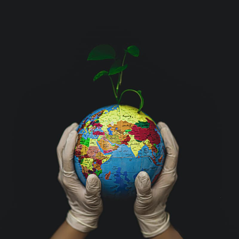 Cover Image for Post-COP Reflections | Unblocking the Climate Capital Supply Chain:Connecting Commercial Money to Emerging Market Impact