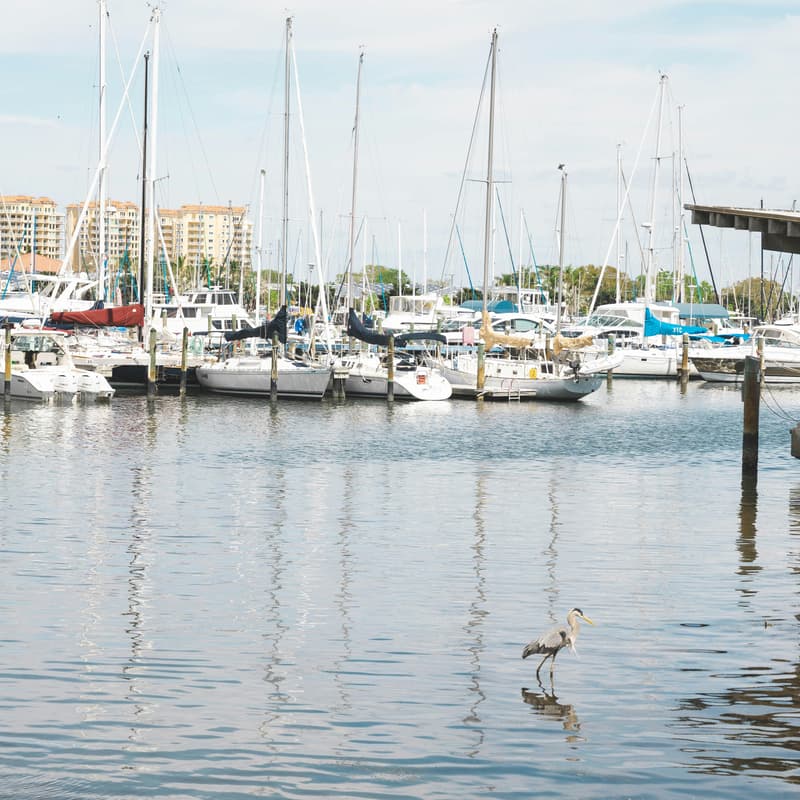 Cover Image for Coastal Resilience & Blue Economy Happy Hour