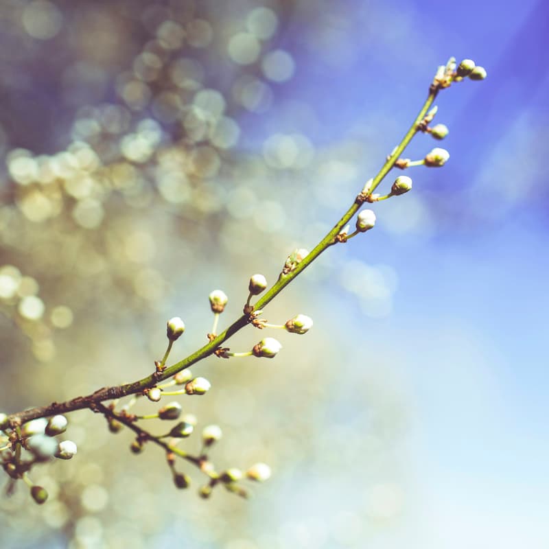 Cover Image for Cherish - a Women's Self-Love Journey