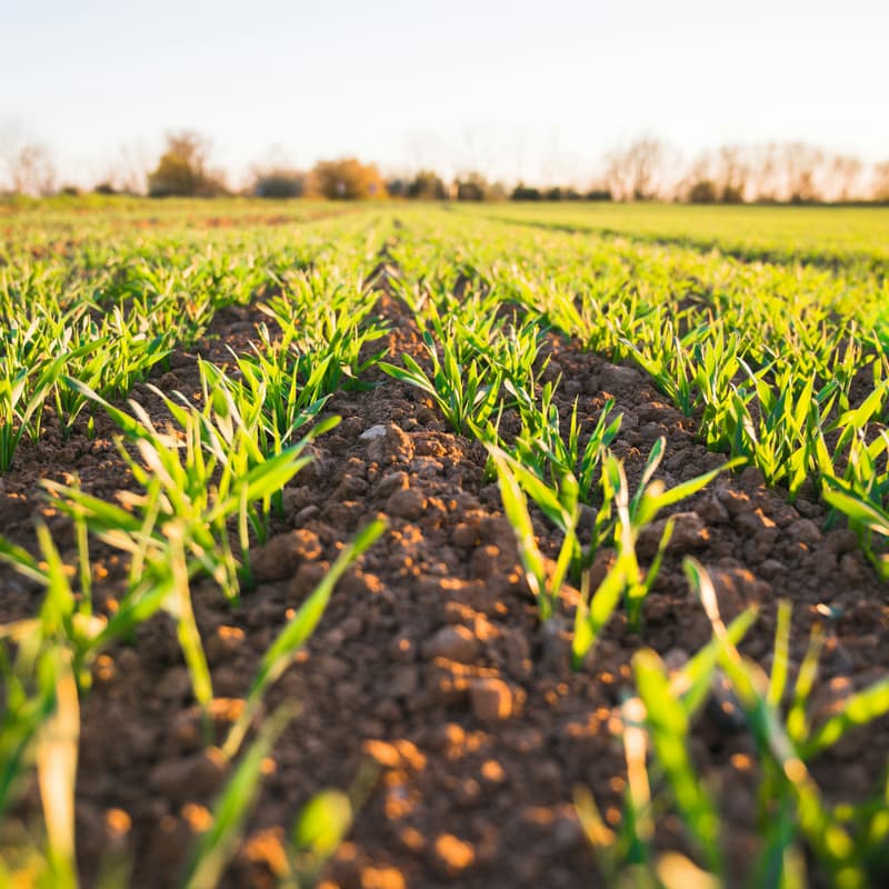 Cover Image for Mesurer la qualité des sols : un levier technologique pour l'agriculture régénérative ?