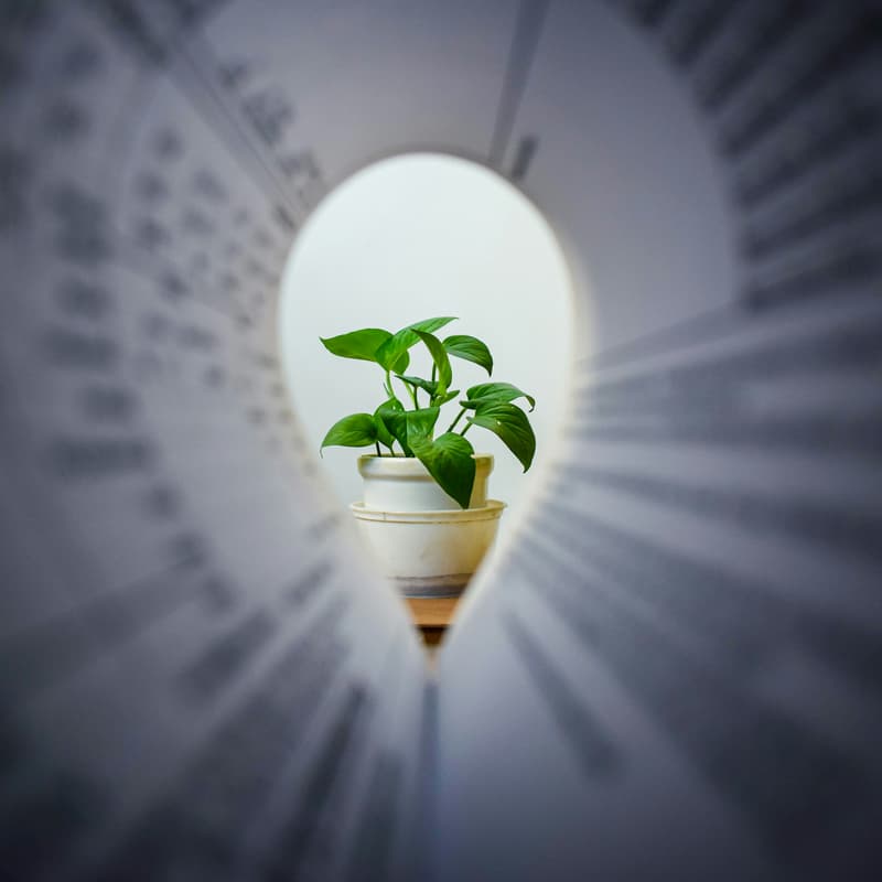 Cover Image for Impact Investments: Accelerating New Innovative Ideas