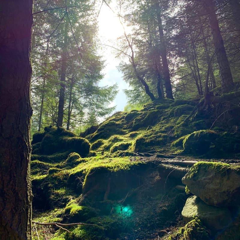 Cover Image for The BROCKEN Ascent: An Intensive Pilgrimage
