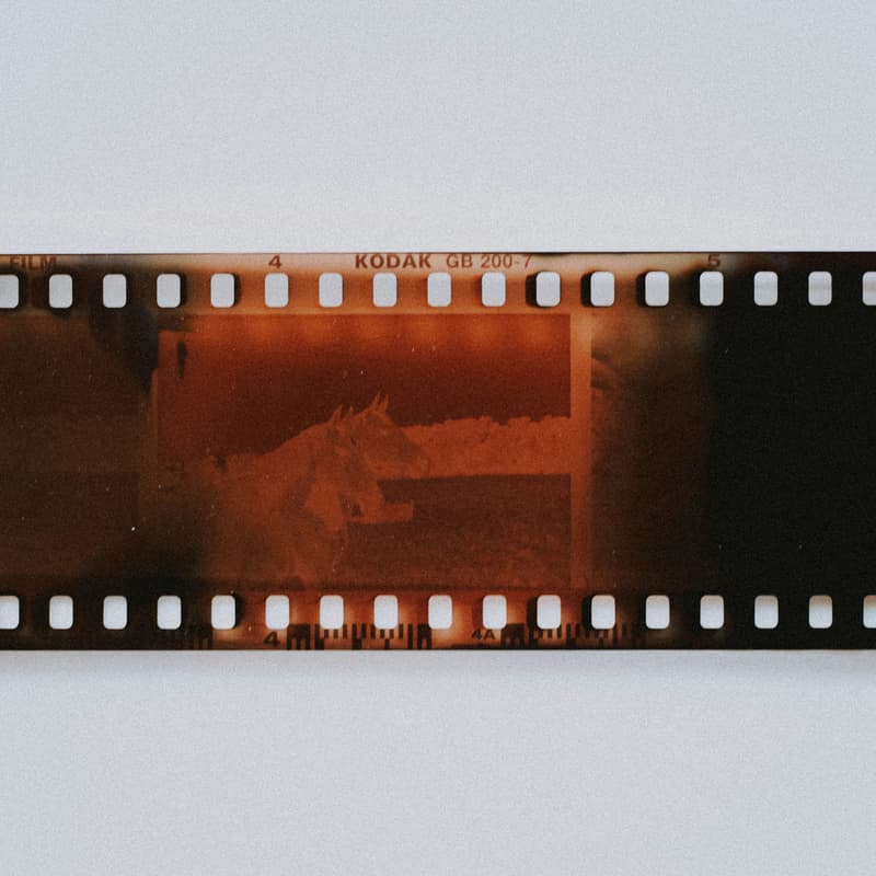 Cover Image for Experience SF Film Festival w/ CU Alums - Film: Short Block 6: Youth Works on 4/26 at 10:30AM - Premier Theatre At One Letterman (Presidio)