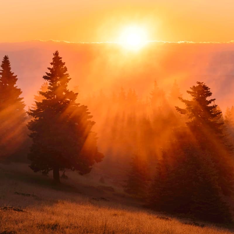 Cover Image for Becoming a Climate Angel with E8
