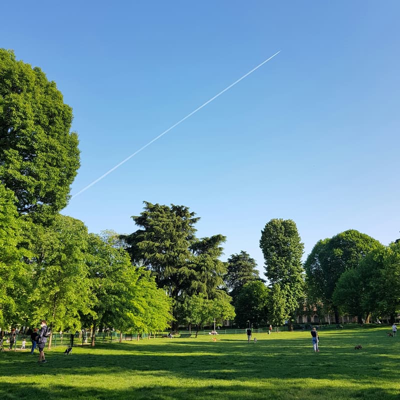Cover Image for Christian Speed Dating at the Park!