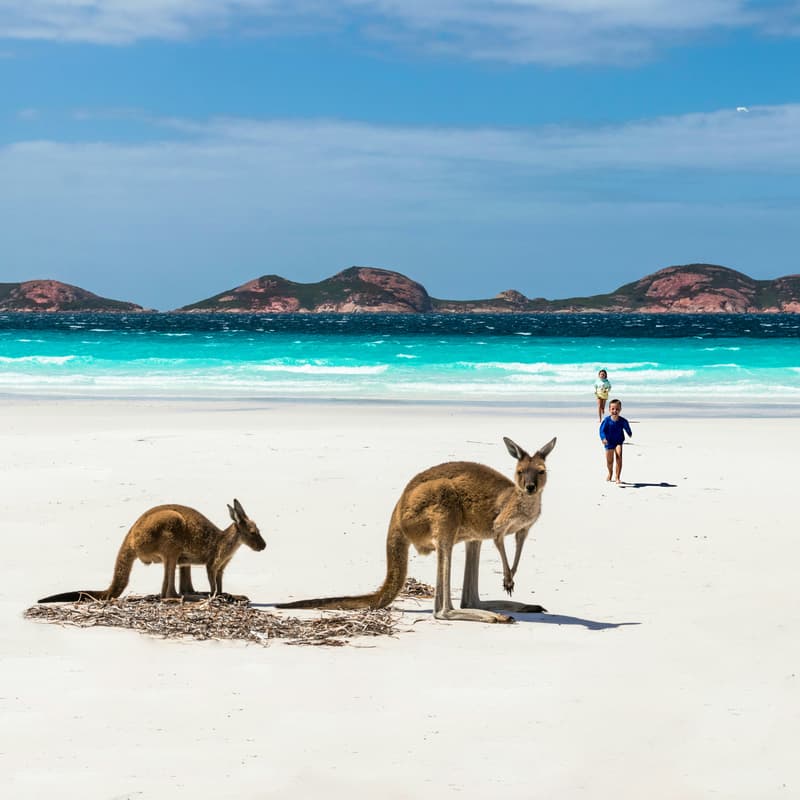 Cover Image for A day in WA