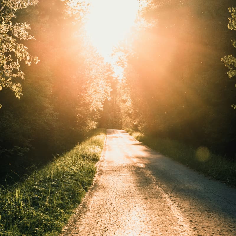 Cover Image for Hike & Reflect: Rediscover Meaning in Your Startup Career