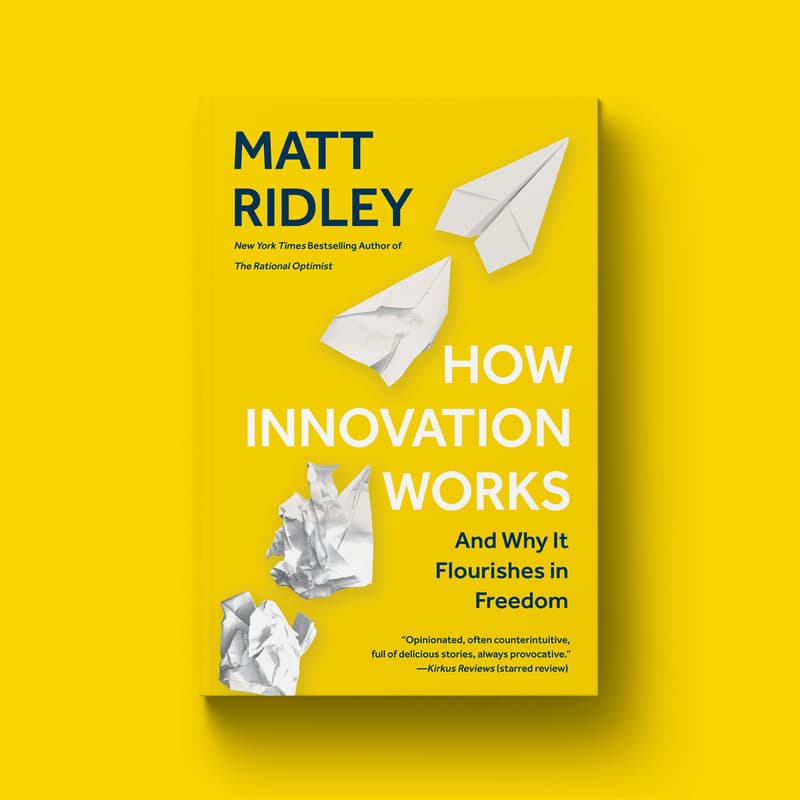 Cover Image for Innovation and Entrepreneurial Mindset