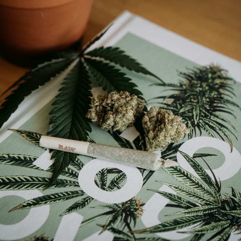 Cover Image for Cannabis 101