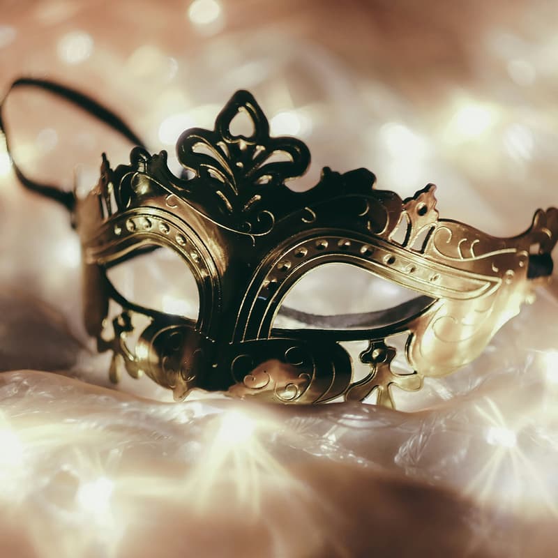 Cover Image for Enchanted Masquerade