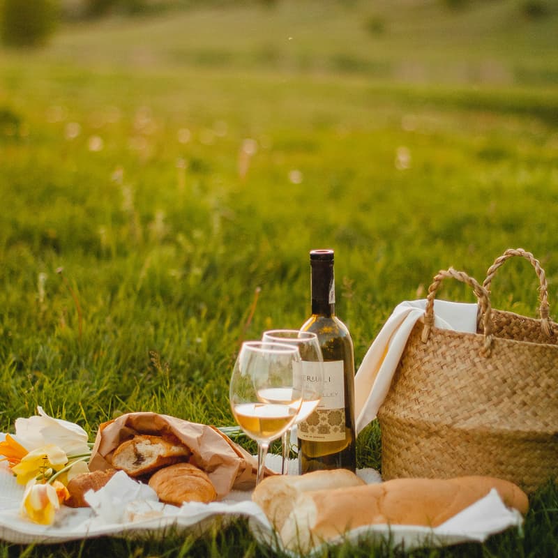 Cover Image for Summer Picnic at London Fields