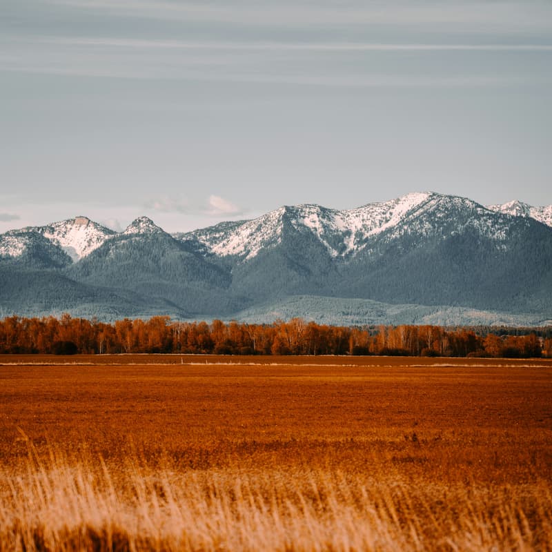 Cover Image for Virtual Webinar: Three Ways to Help The Montana Plan from Anywhere