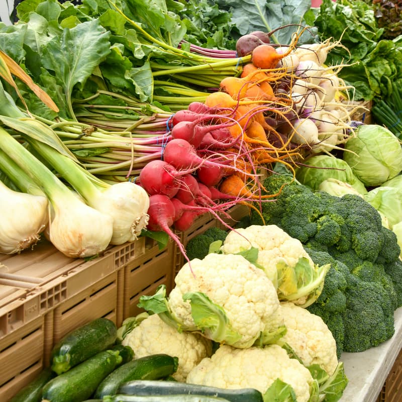 Cover Image for Signature Gathering at San Francisco Ferry Building Farmers Market