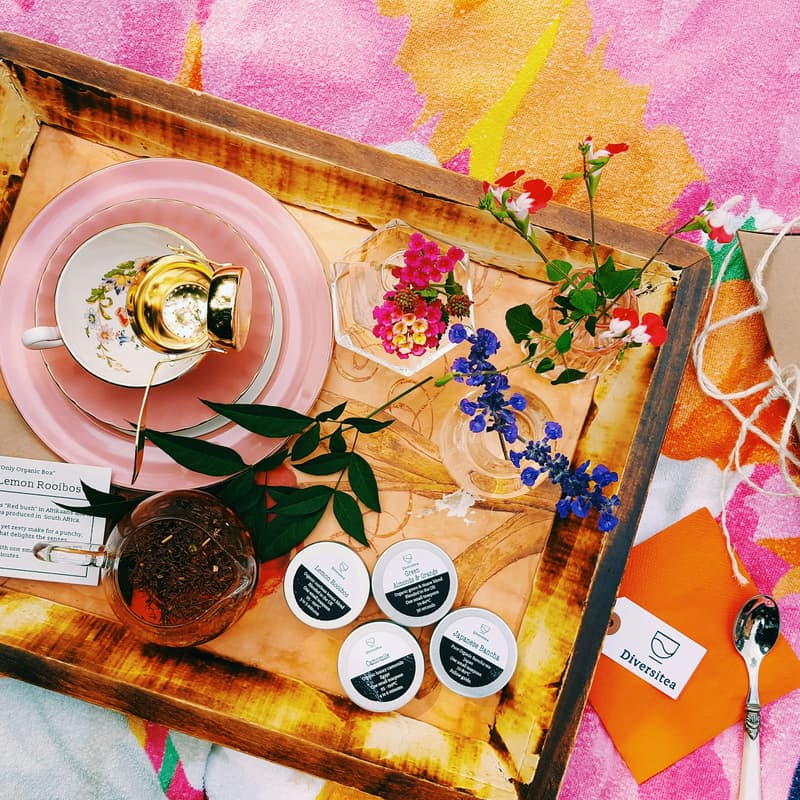 Cover Image for SheStarts Spring Social