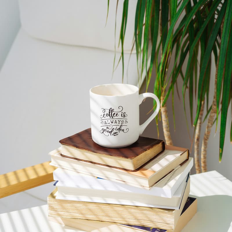 Cover Image for ARE YOU READY TO START READING AGAIN?