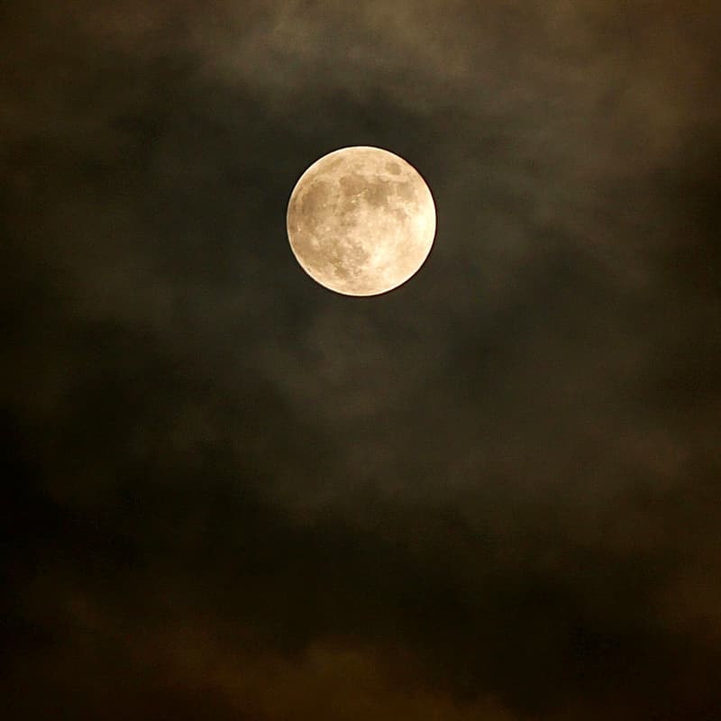 Cover Image for Full moon in Aquarius: yoga class with Sara