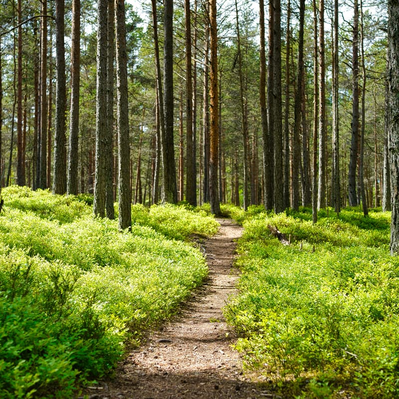 Cover Image for Boží výšlap – neformální výlet pro nezadané křesťany