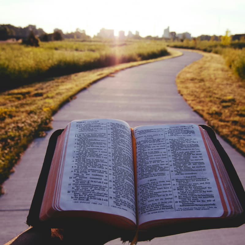 Cover Image for Bible Study and Planes