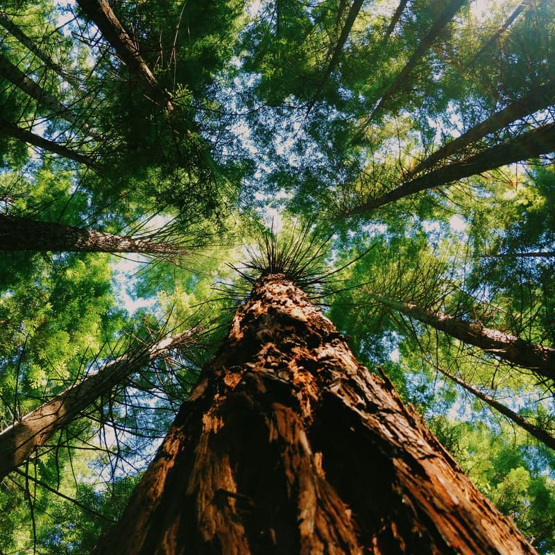 Cover Image for Marin Women in Branding Meetup