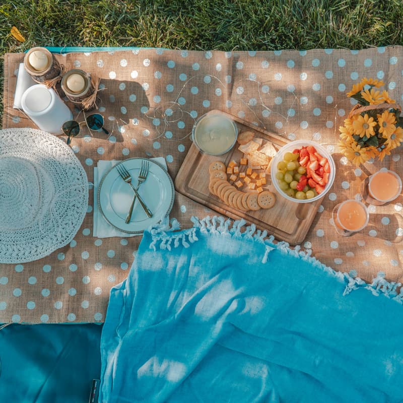 Cover Image for MSU Fall Picnic