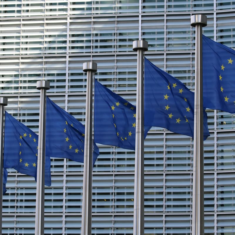 Cover Image for EU-netværk for civilsamfundet: Hvad bestemmer EU om sundhed?