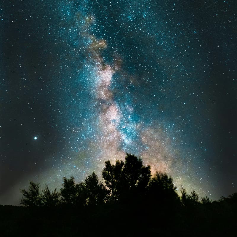Cover Image for New forest Stargazing hike