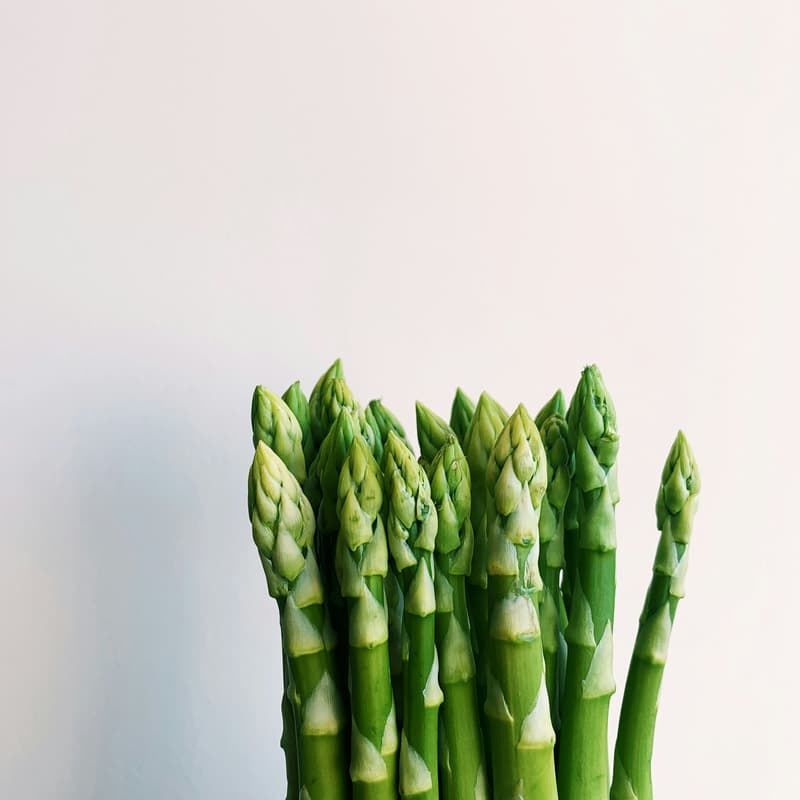 Cover Image for Food+Climate: Reducing food system emissions in the current climate