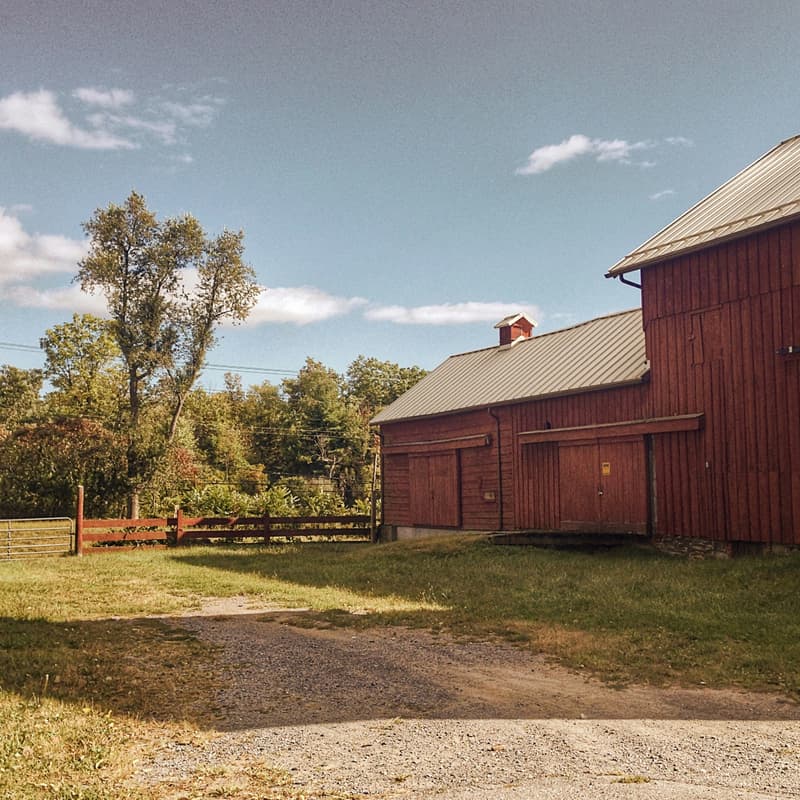 Cover Image for Visiting Juchhof: Farming, Transformation and the Policy