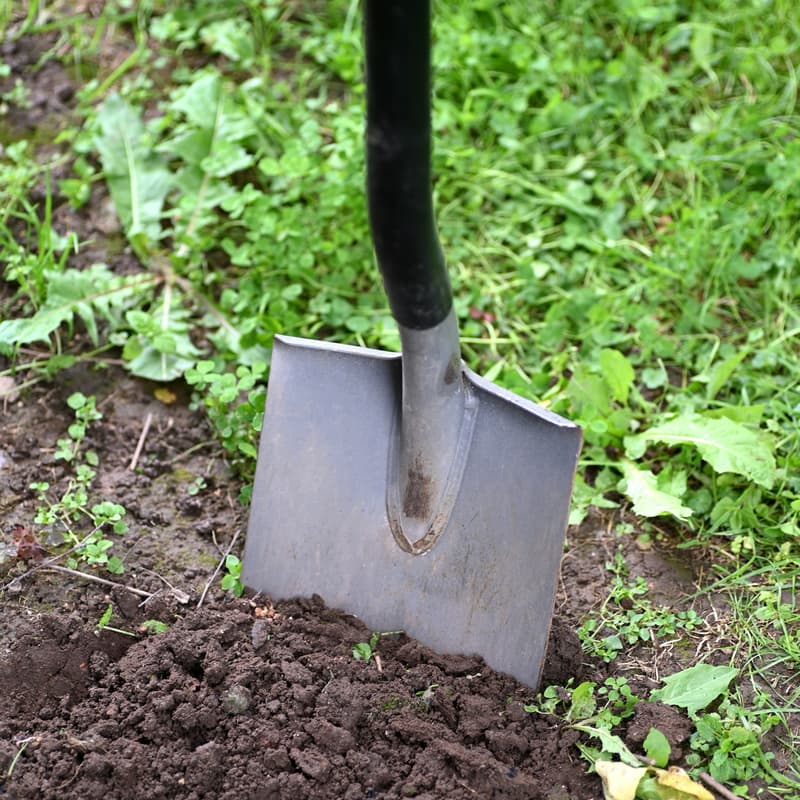 Cover Image for Growing Good Saturday