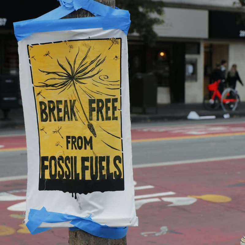 Cover Image for Fossil-free Fridays