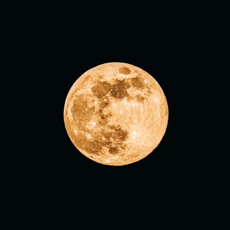 Cover Image for Full Moon Tarot Reading