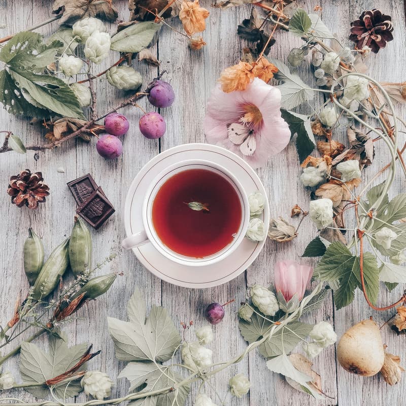 Cover Image for High Tea with Other Platform Folks