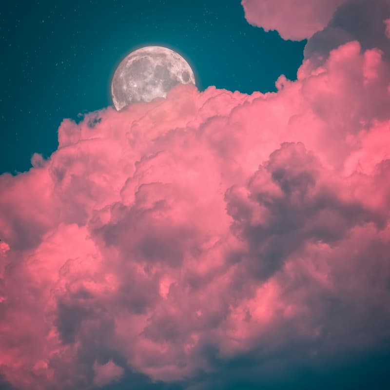Cover Image for Flower Full Moon Walk