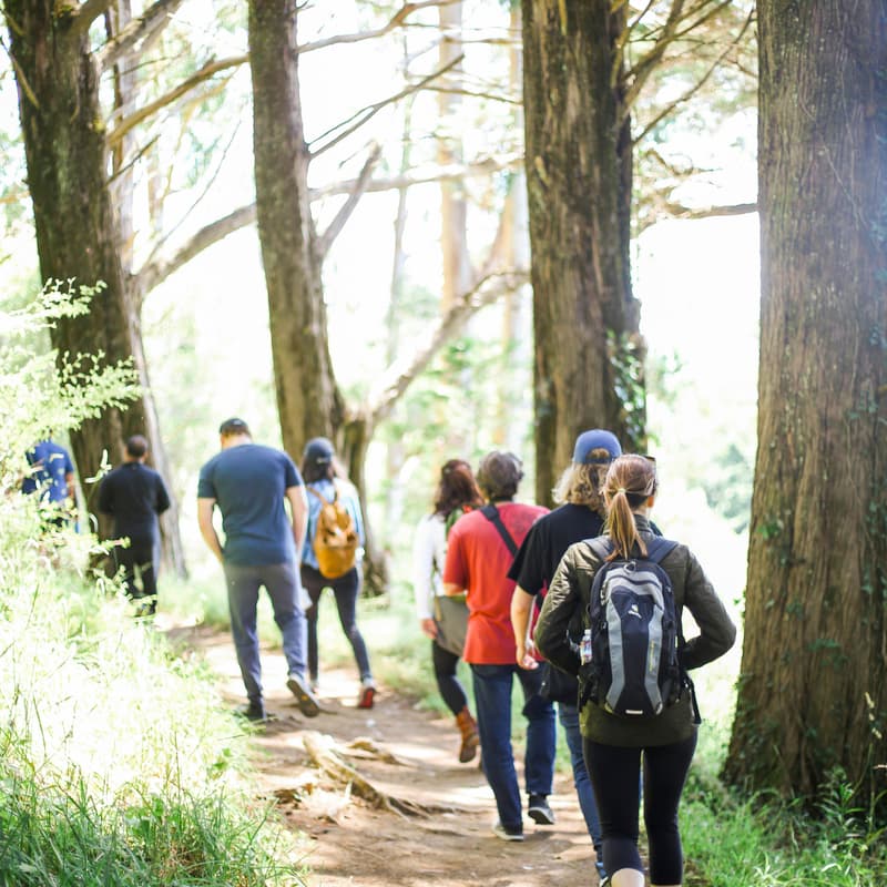 Cover Image for Hike & Connect