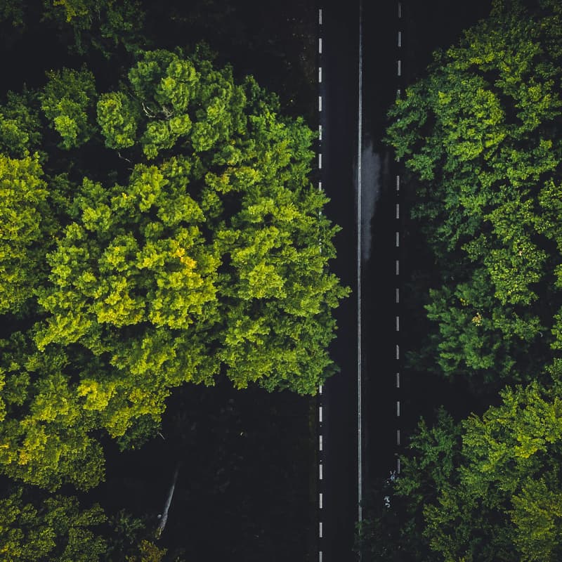 Cover Image for Andrew Sonta: Data-driven integration of social and environmental perspectives for a sustainable built environment
