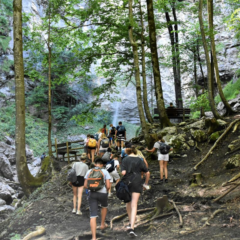 Cover Image for Into the forest: Let's explore Oslo's "marka" together