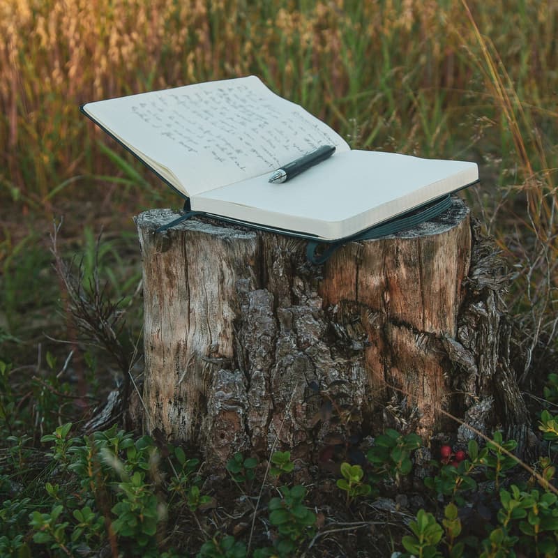 Cover Image for The Consistent Writer – Fantasy, Fairy Tales, and Speculative Fiction (In-Person & Online)