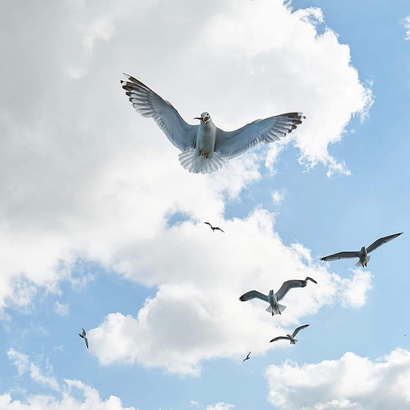 Cover Image for Faith In Action: Environmental Justice and Faith Leadership (A Panel Discussion)
