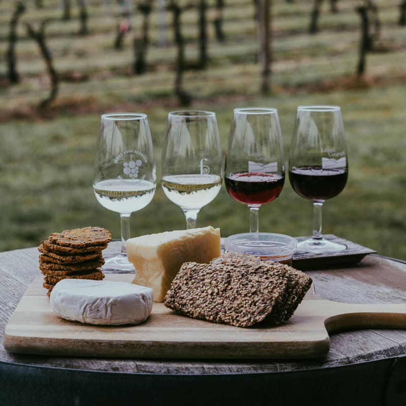 Cover Image for Wine & Raise- Wine tasting over Fundraising
