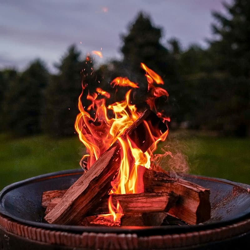 Cover Image for Autumn Bonfire & Psychedelic Therapy Meetup
